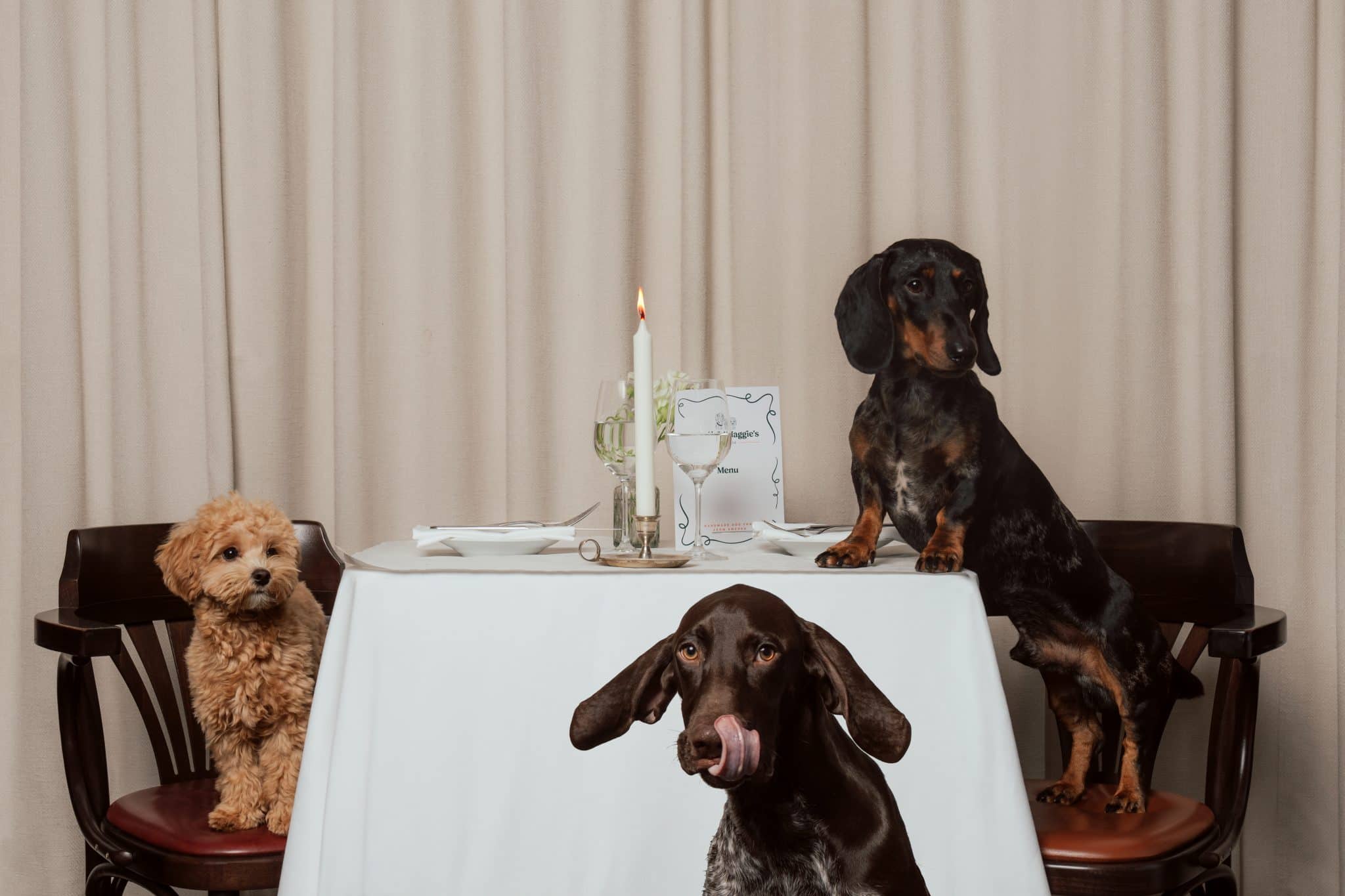Frank och Maggie sitter vid ett bord