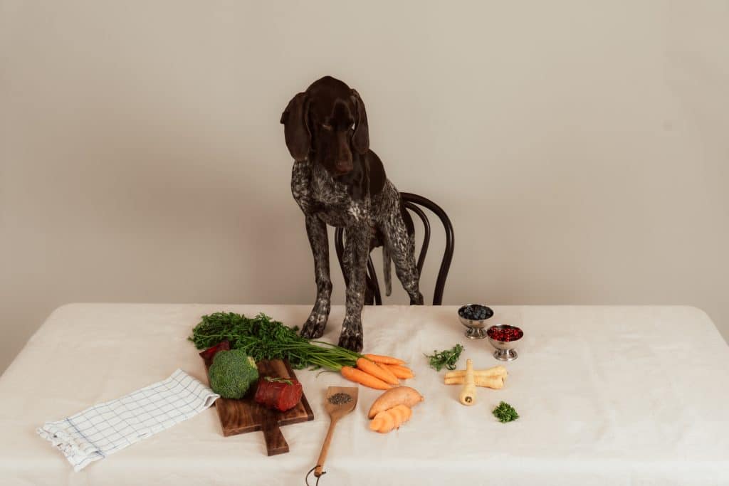 Frank står med tassarna på bordet som är fylld av råvaror